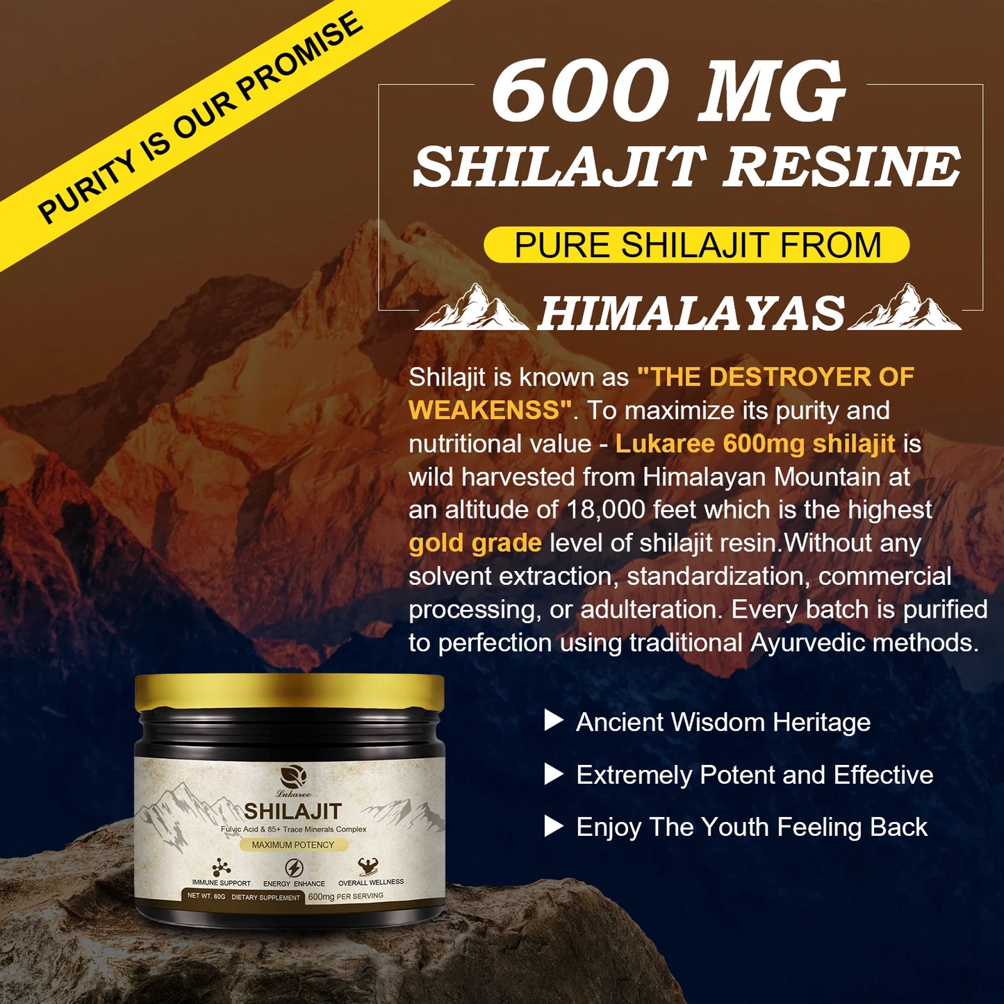 Premium Shilajit Supplement with 85+ Trace Minerals | Energy Boost