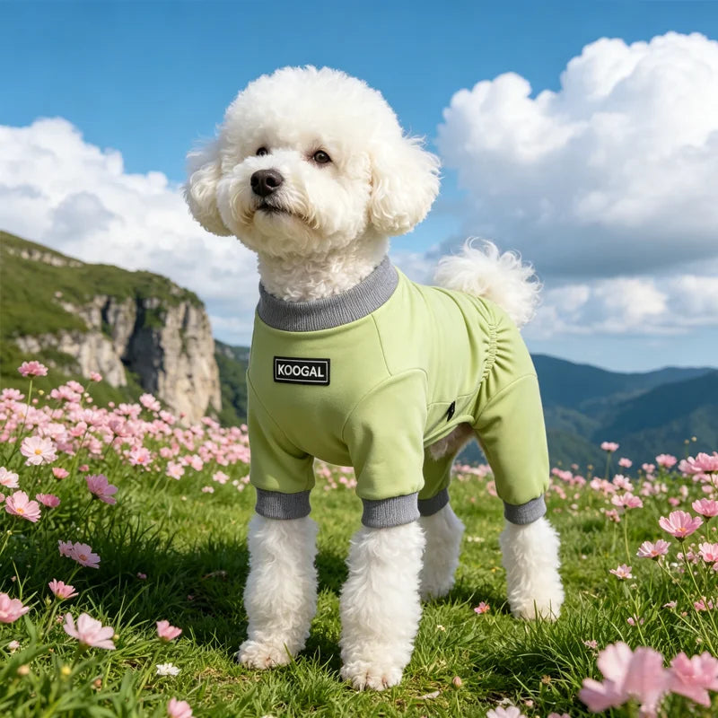 Lightweight Summer Dog Pyjamas | Comfortable Dog Onesie for All Sizes