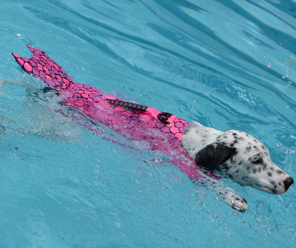 Ultimate Pet Dog Life Jacket | Safe & Stylish Swim Vest for Dogs