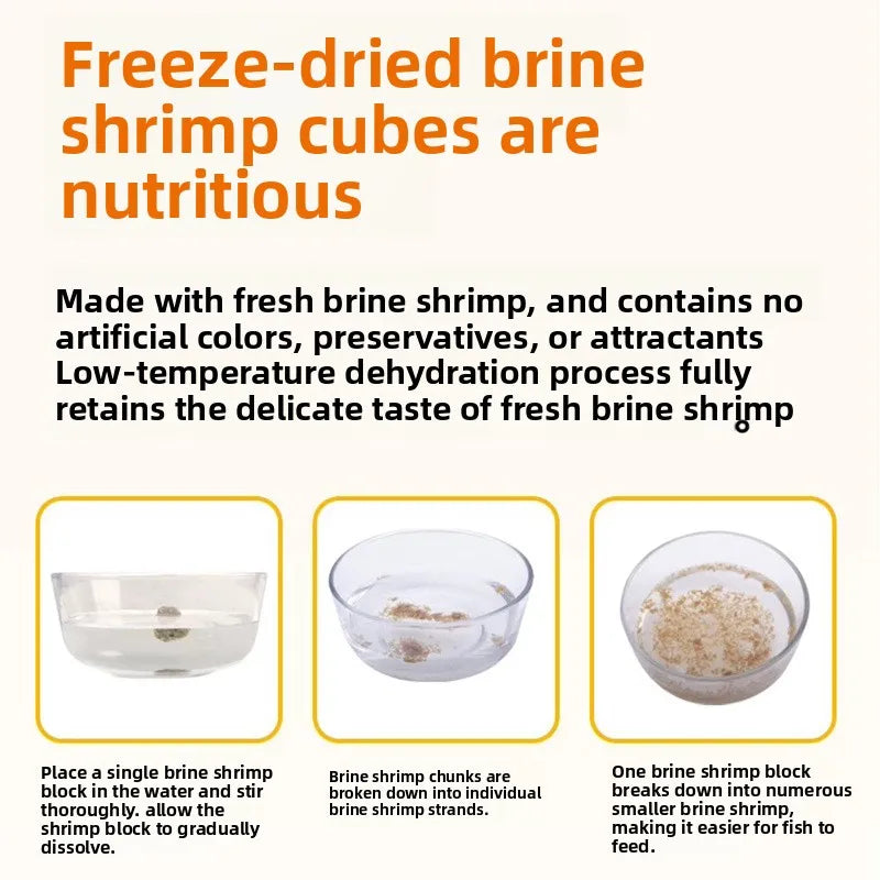Freeze-Dried Brine Shrimp Blocks for Fish | Nutrient-Rich Treats