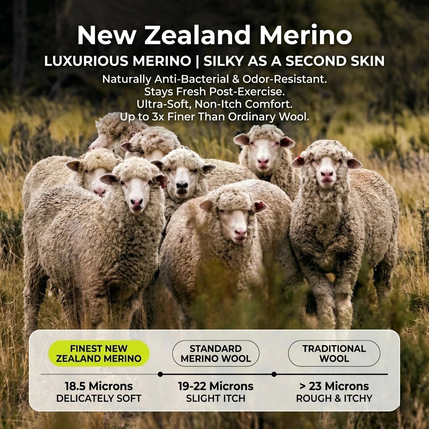 New Zealand Merino Wool T-Shirt Mens Summer Quick Dry Moisture Wicking Breathable Athletic Hiking Camping Gym Short Sleeve