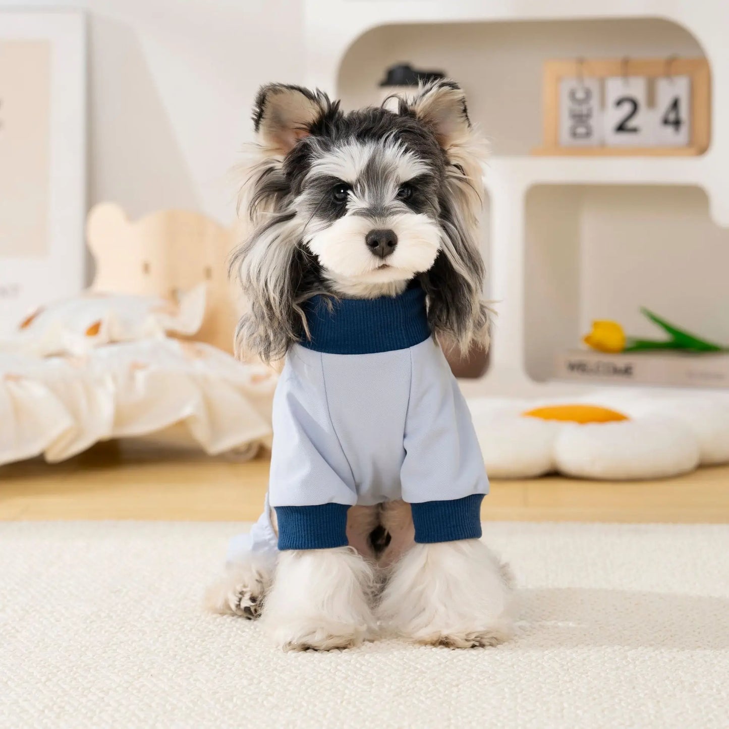 Pet clothing outdoor  dog four-legged outfit spring and summer new dog clothes cat spring and summer clothes for sun protection