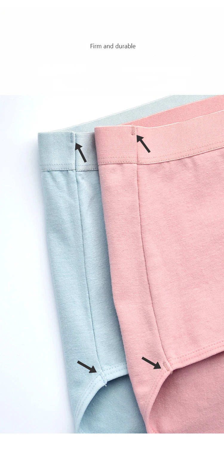 Plus Size High Waist Cotton Briefs for Women | Breathable Comfort