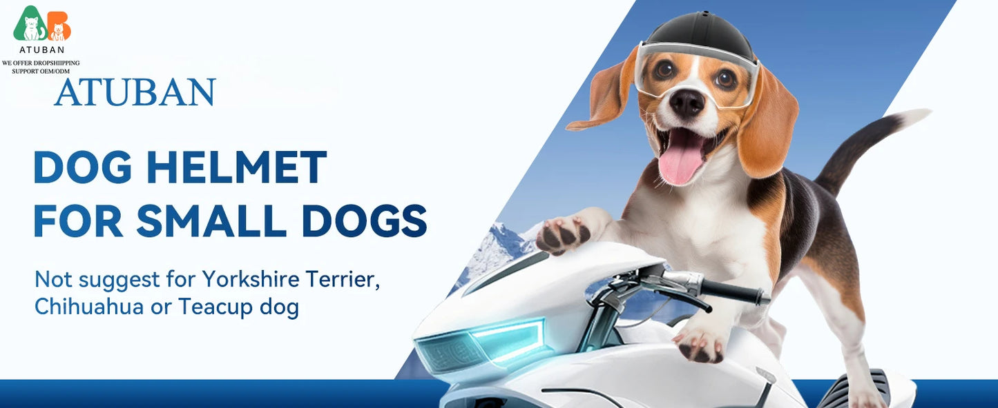 Dog Motorcycle Helmet for Small Breeds | Stylish & Protective