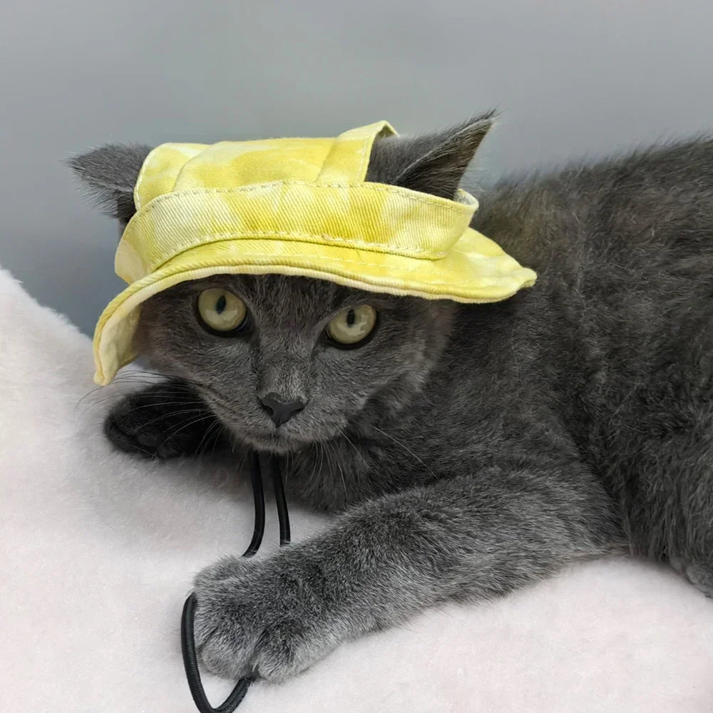 Adjustable Dog Baseball Cap with Ear Holes | Summer Pet Hat