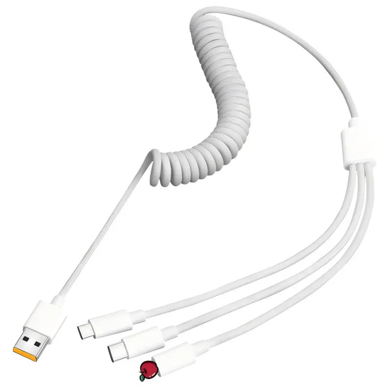 100W 3 In 1 Fast Charging Cable | Universal USB C Charger Cord