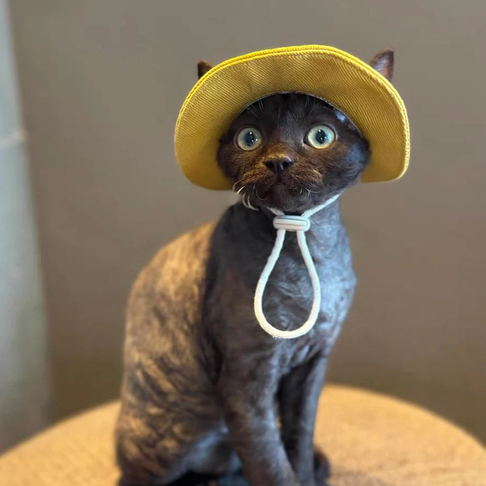 Adjustable Cotton Cat Hat with Ear Holes | Summer Sun Protection