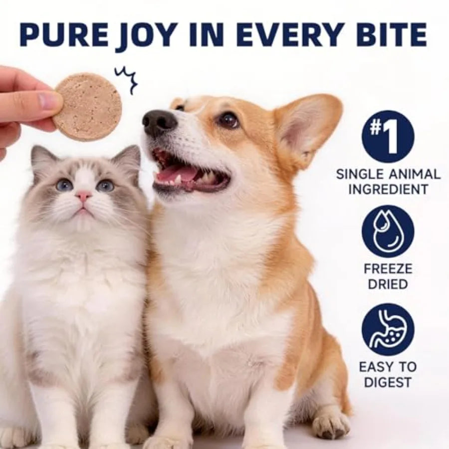 Freeze Dried Beef Patties | High Protein Treats for Dogs and Cats