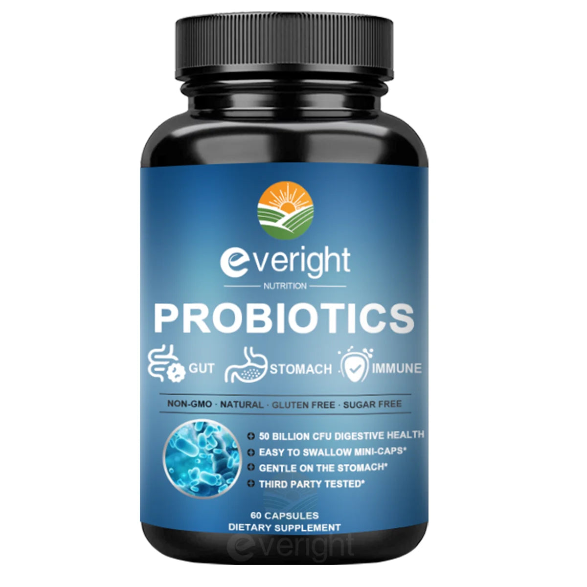 50 Billion CFU Probiotics | Daily Digestive & Gut Health Support