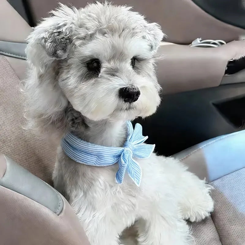 Pet Cooling Ice Scarf | Adjustable Breathable Towel for Dogs & Cats