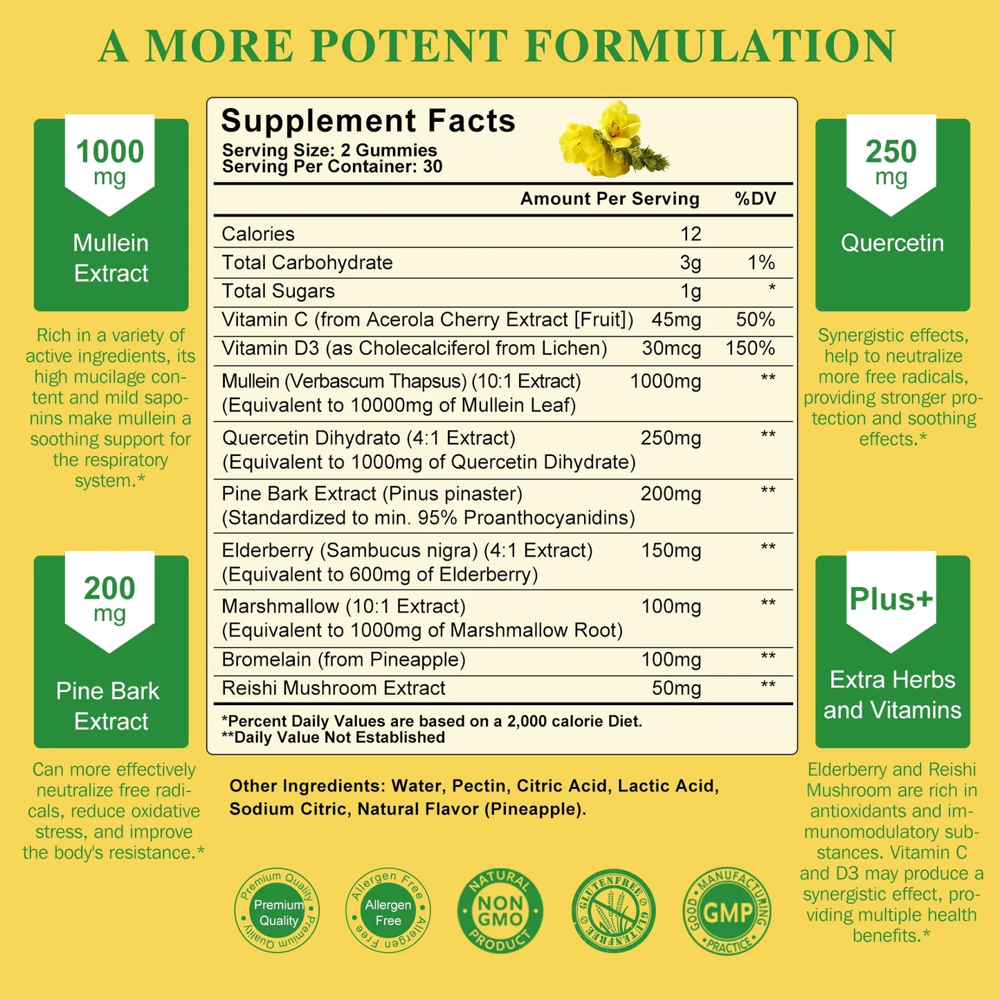 Mullein Gummies for Lung Health | Immune Support & Antioxidant Boost
