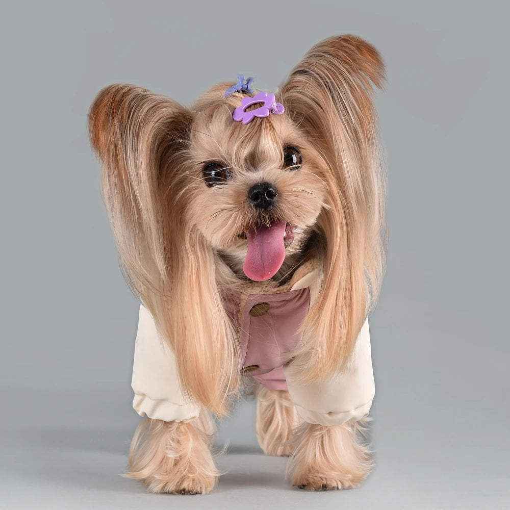 Winter Dog Hoodie Overall | Cozy Snowsuit for Small & Medium Breeds