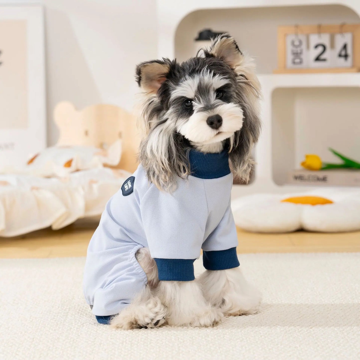Pet clothing outdoor  dog four-legged outfit spring and summer new dog clothes cat spring and summer clothes for sun protection