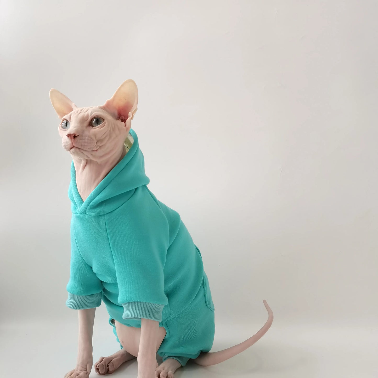 Soft Fleece-Lined Coat for Cats | Cozy Autumn Winter Hoodie