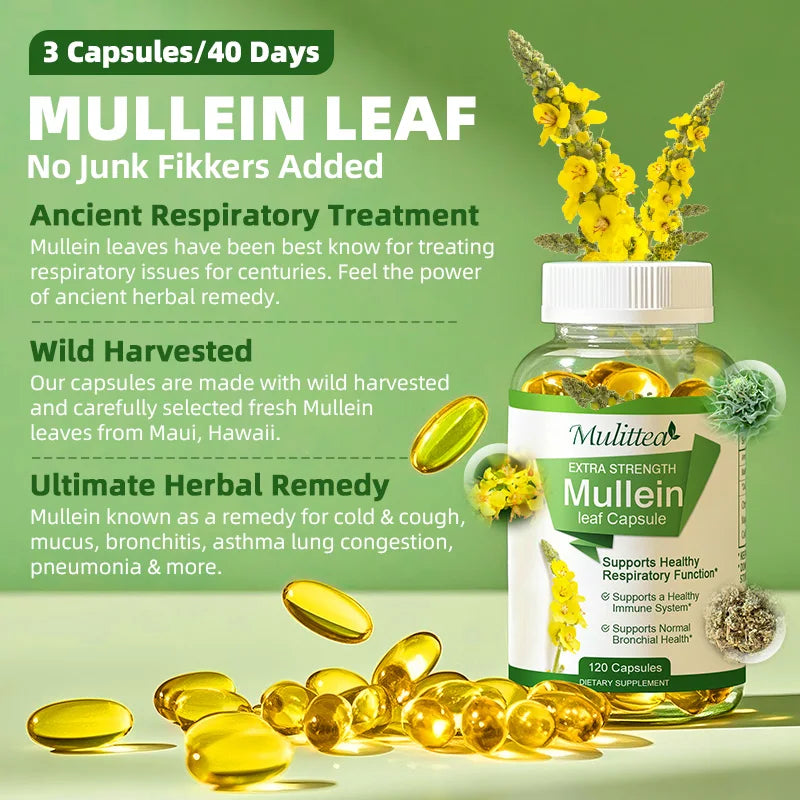 100% Herbal Mullein Leaf Capsules for Lung Health & Immunity
