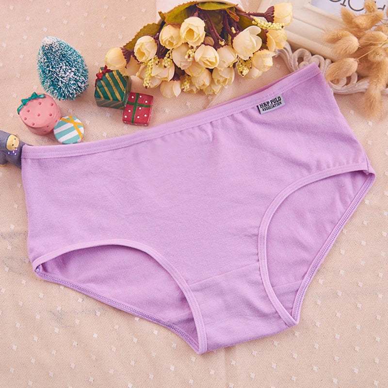 Plus Size Women's Cotton Briefs | Comfortable Sexy Lingerie Set