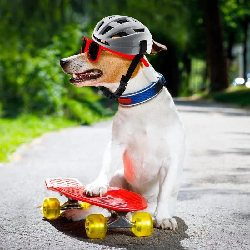 Pet Motorcycle Safety Helmet | Comfortable & Breathable Design