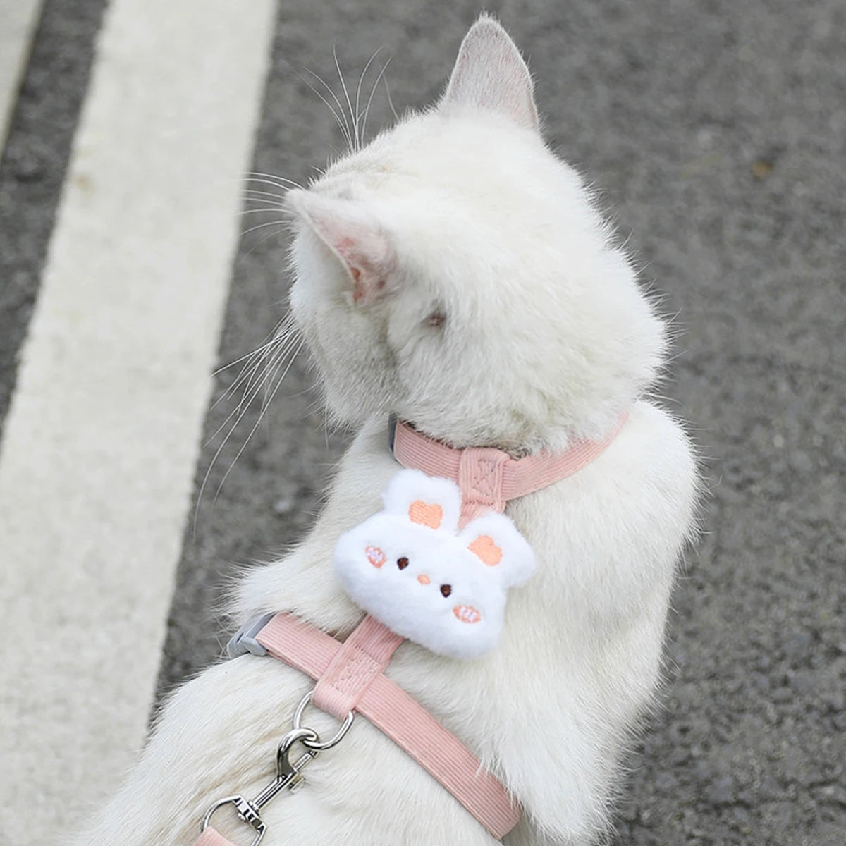 Adjustable Cat Harness and Leash Set | Perfect for Small Dogs & Cats
