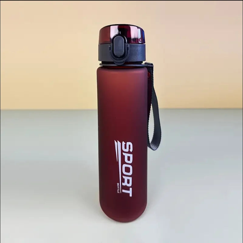 BPA Free Leak Proof Sports Water Bottle | Portable Hiking Bottle