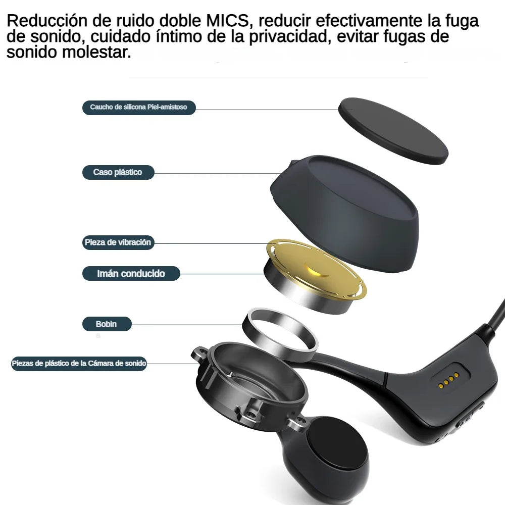 Professional Open Stereo Headphones with Noise Canceling Microphone