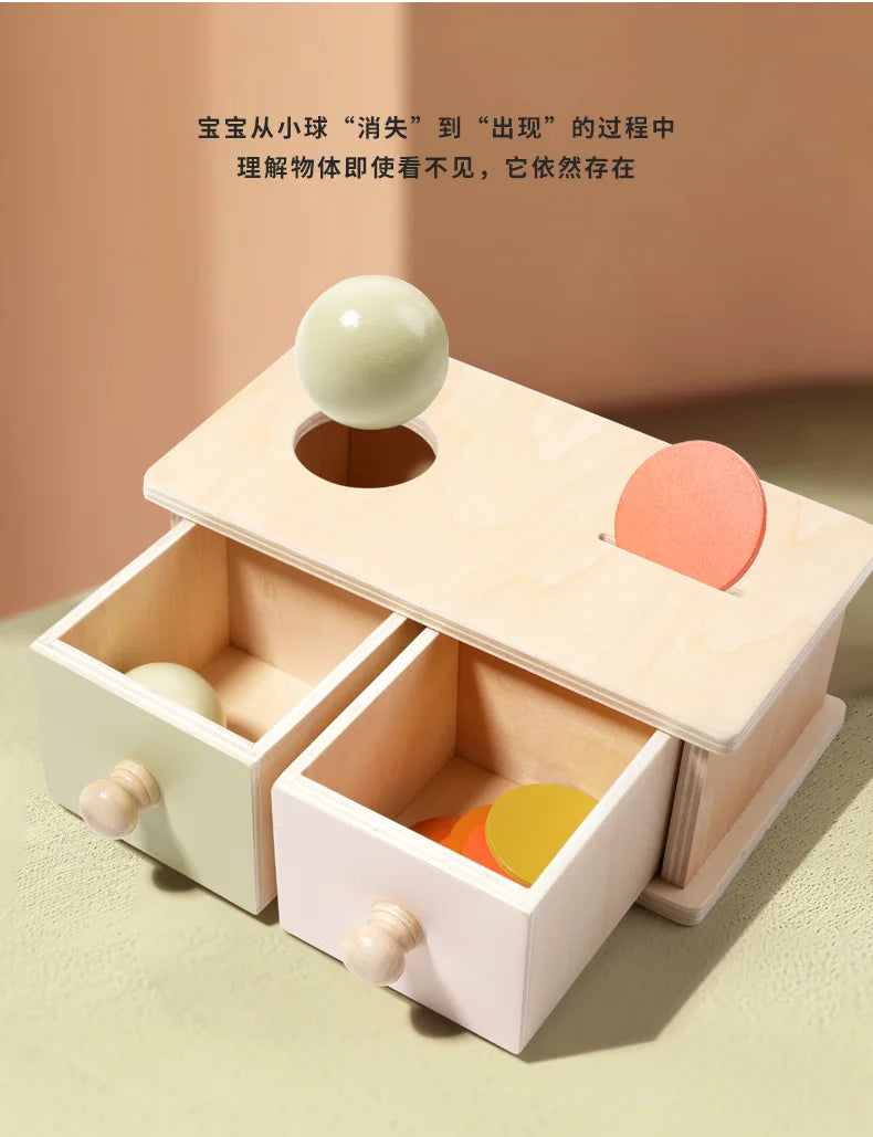 Montessori Puzzle Box for Infants | Develop Hand-Eye Coordination