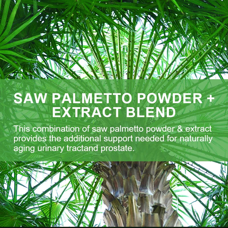 Saw Palmetto Supplement for Prostate Health & Hair Growth