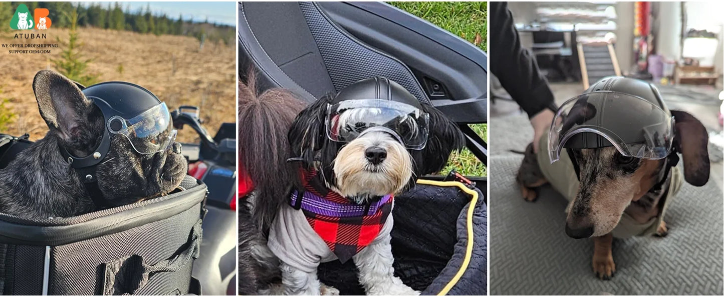 Dog Motorcycle Helmet for Small Breeds | Stylish & Protective
