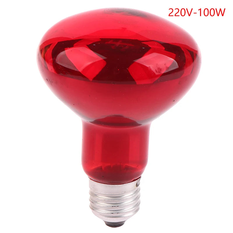 Infrared Physiotherapy Bulb for Pain Relief & Muscle Relaxation