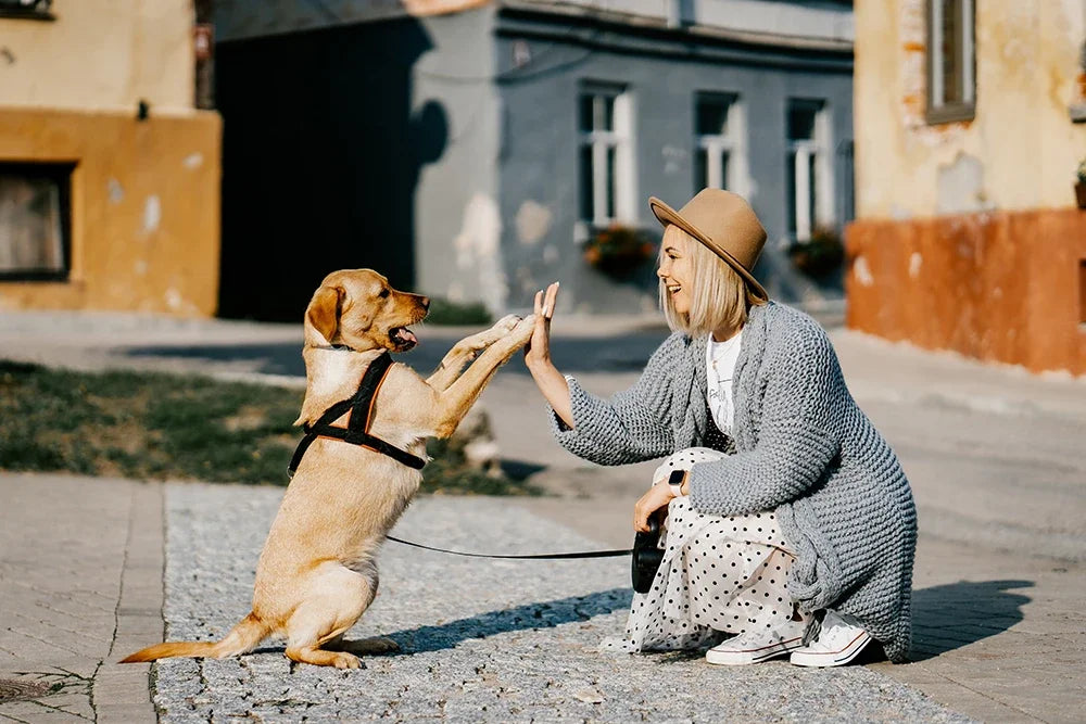 Warm Fleece Aviator Hat for Dogs | Windproof Pet Pilot Cap
