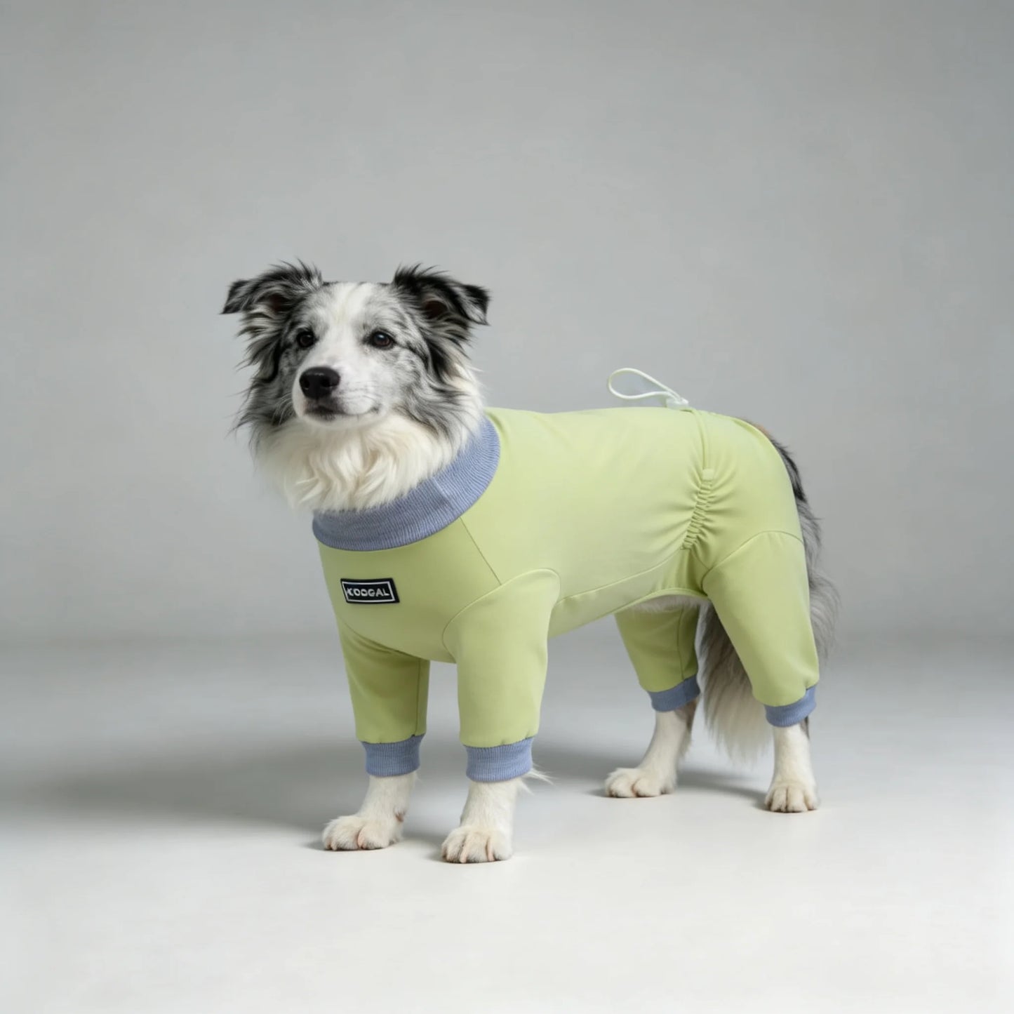 Lightweight Summer Dog Pyjamas | Comfortable Dog Onesie for All Sizes