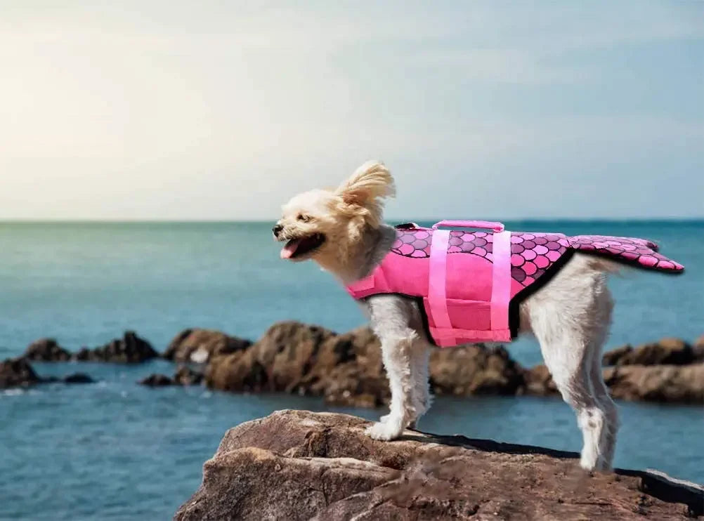 Ultimate Pet Dog Life Jacket | Safe & Stylish Swim Vest for Dogs