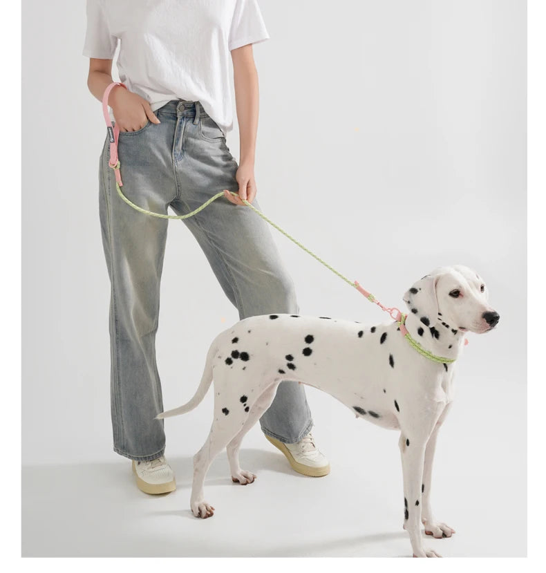 Cute Sugar Color Dog Collar and Leash Set for Small to Medium Dogs