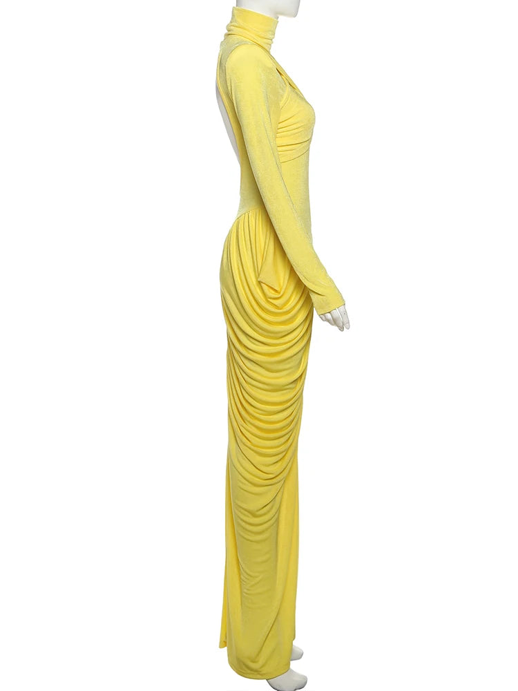Elegant Autumn Maxi Dress | Turtleneck Full Sleeve Womens Dress
