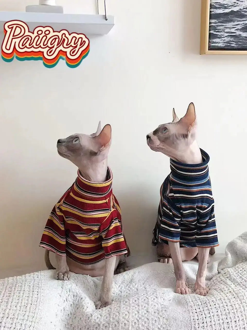 Trendy Retro Cat T-Shirt | Must-Have Summer Pet Clothing