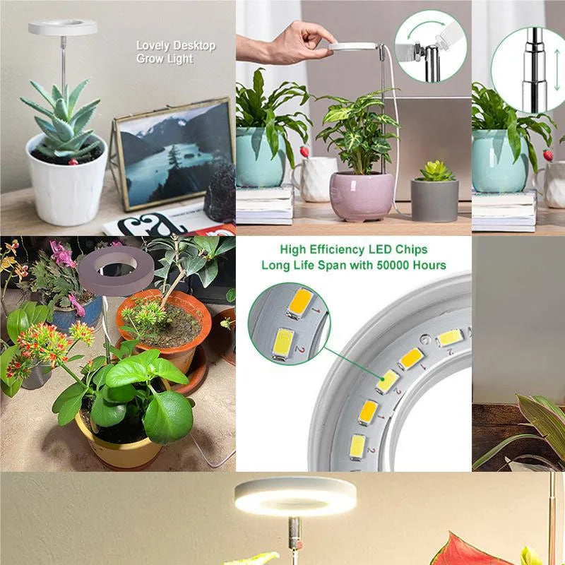 Full Spectrum LED Grow Light | Adjustable & Dimmable Plant Lamp