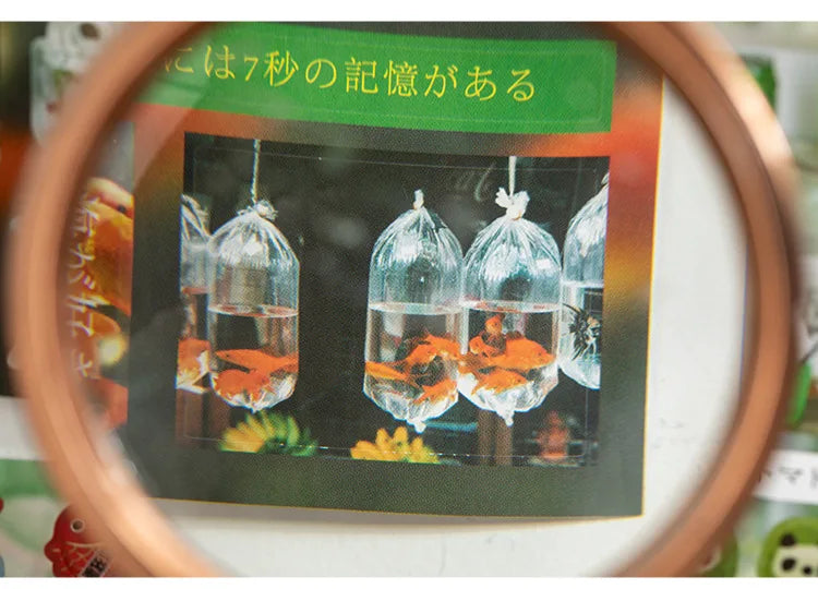 Kawaii Die-Cutting Sticker Book | DIY Lotus Picking Scrapbook Décor