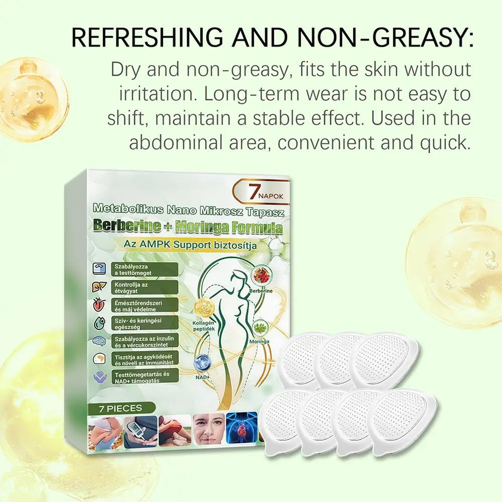 Advanced Nano Microneedle Patch for Body Skin Care