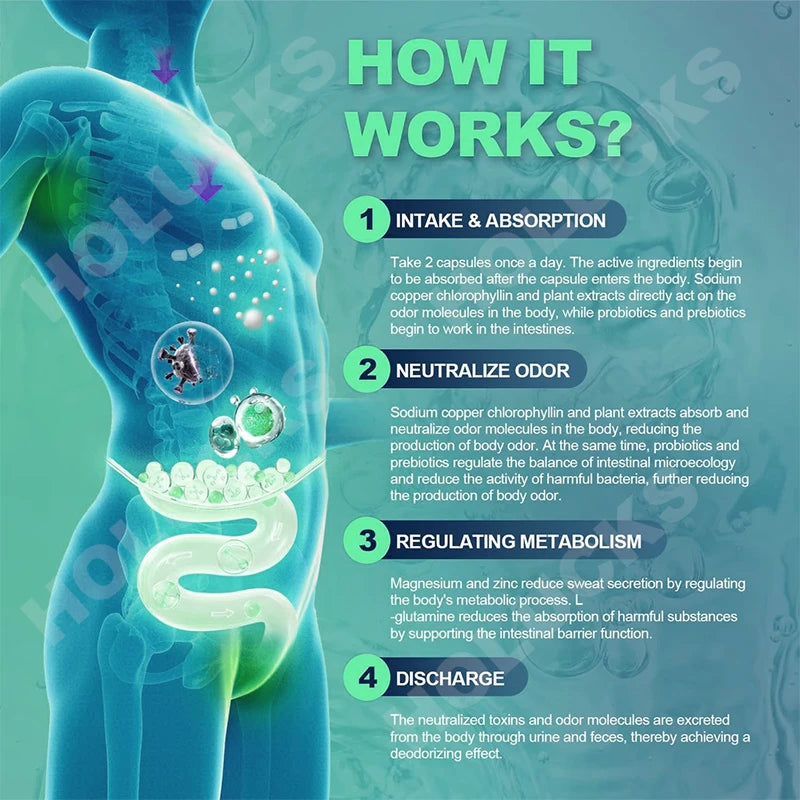 Natural Chlorophyll Capsules for Detox, Digestive & Skin Wellness