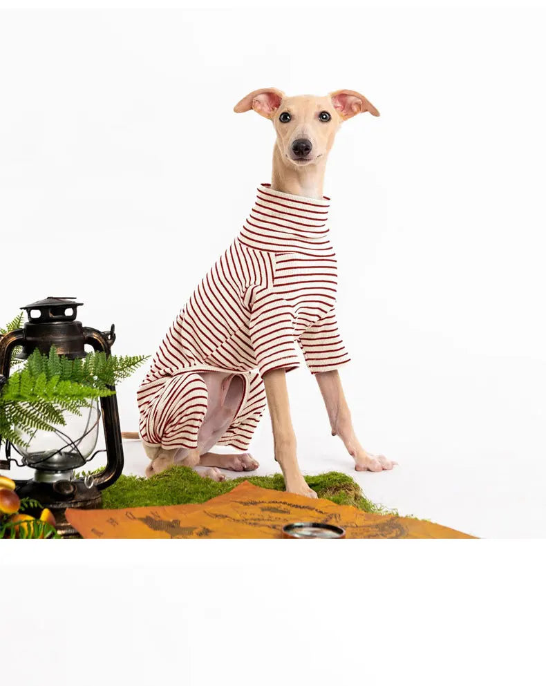 Four Legged Spring Pet Dog Jumpsuit | Comfortable Dog Apparel