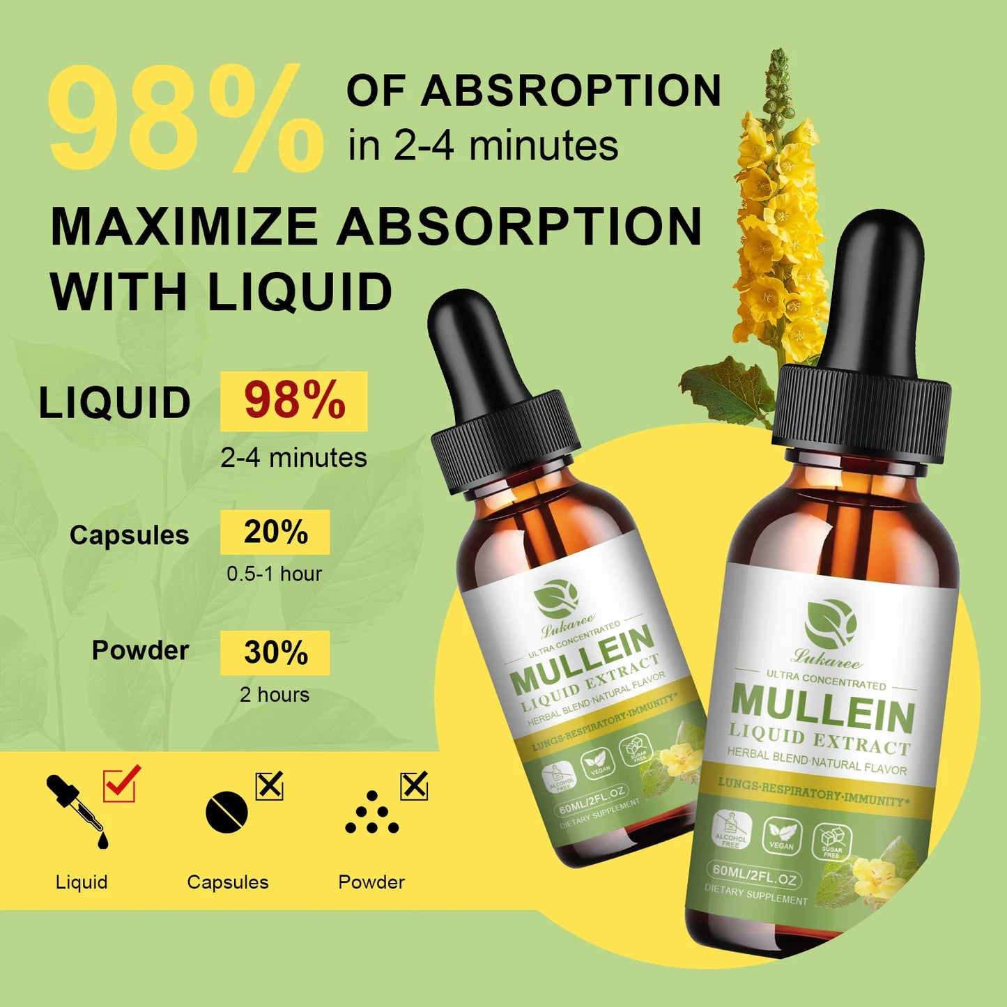 Vegetarian Mullein Drops for Lung Health & Detoxification