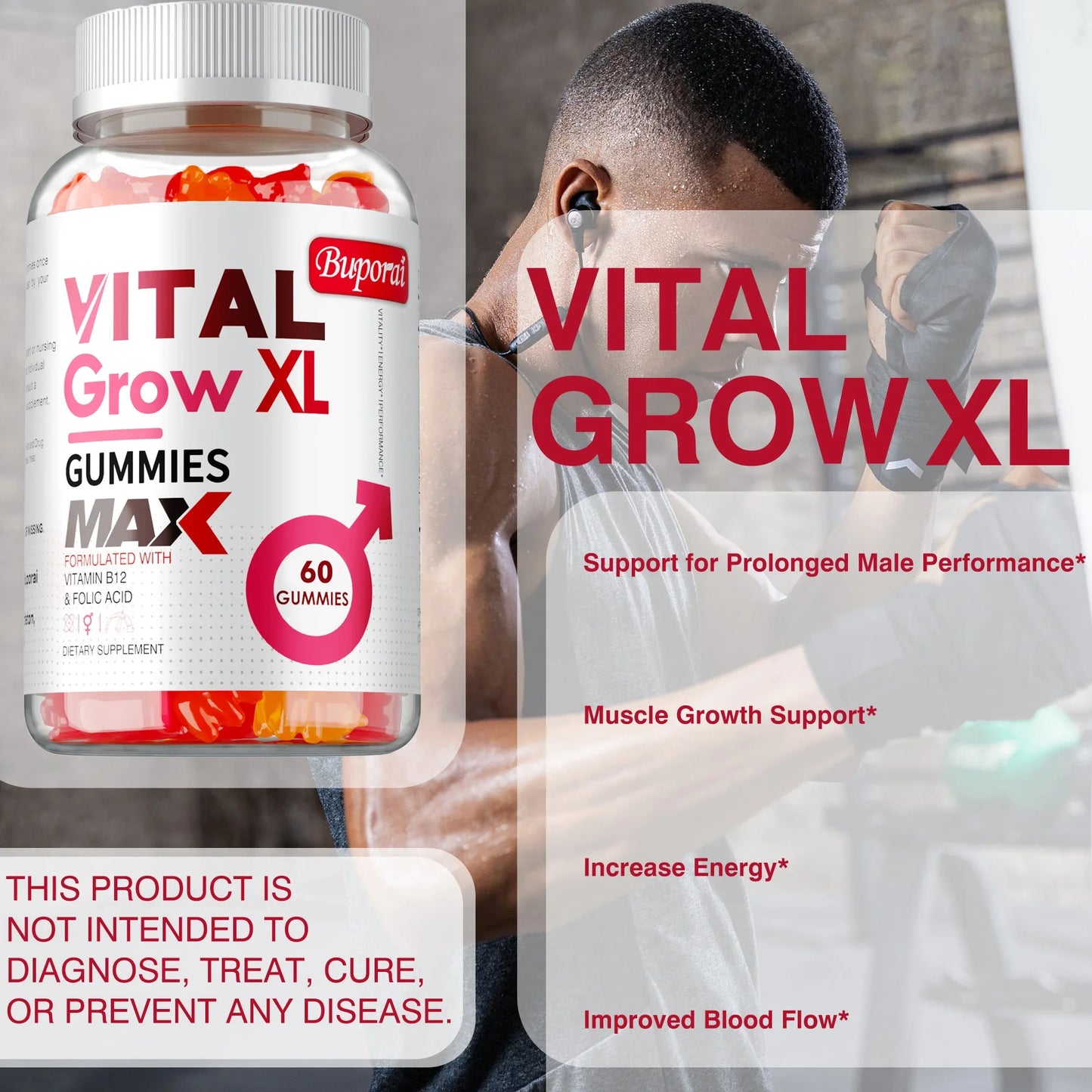 Male Performance Support Gummies | Boost Muscle Growth & Recovery