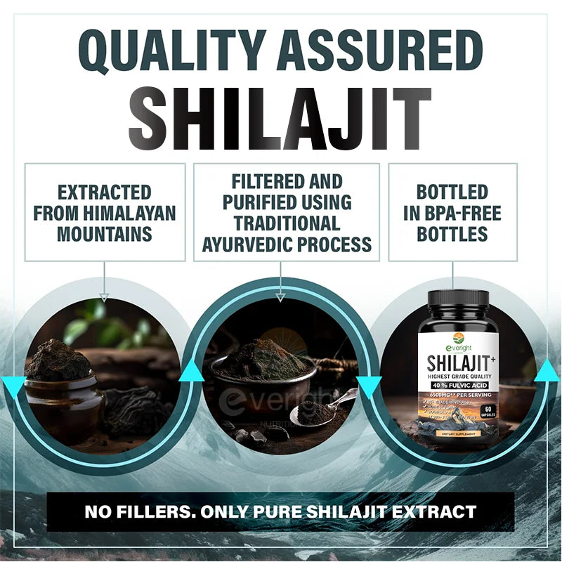 Shilajit Capsules 6500mg | Energy, Muscle Strength & Immunity Support