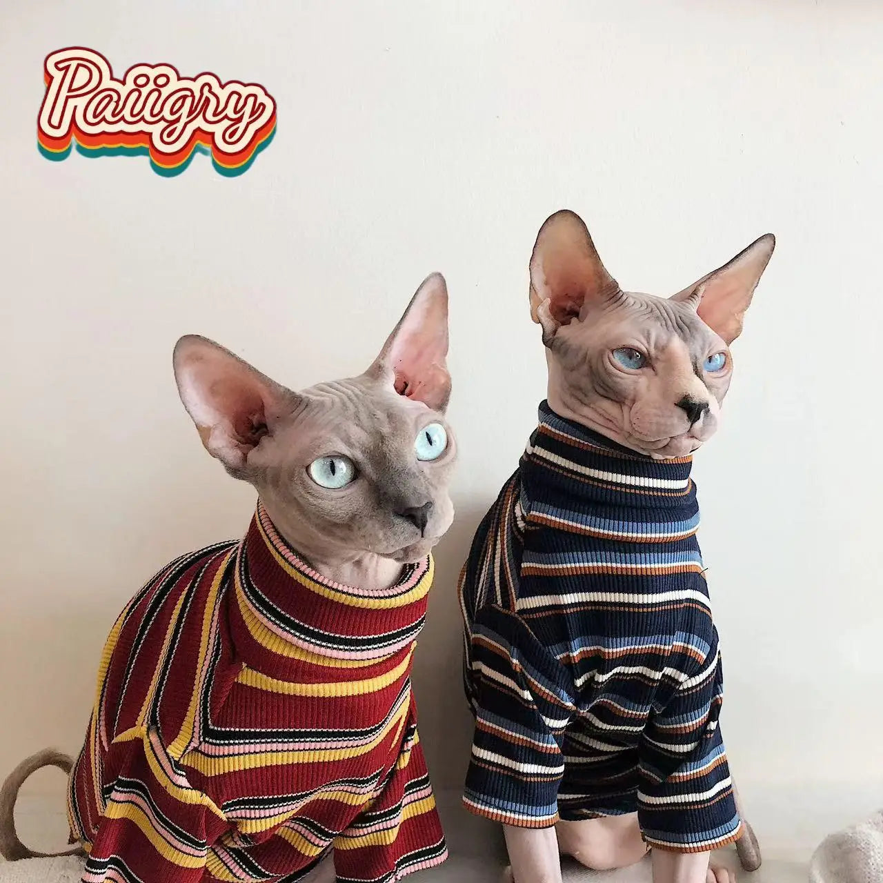 Trendy Retro Cat T-Shirt | Must-Have Summer Pet Clothing