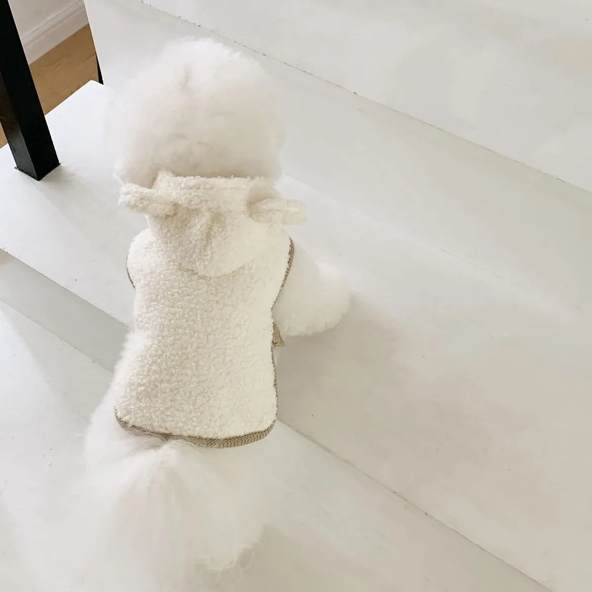 Acogedor chal de lana para perros pequeños y gatos | Ropa de otoño