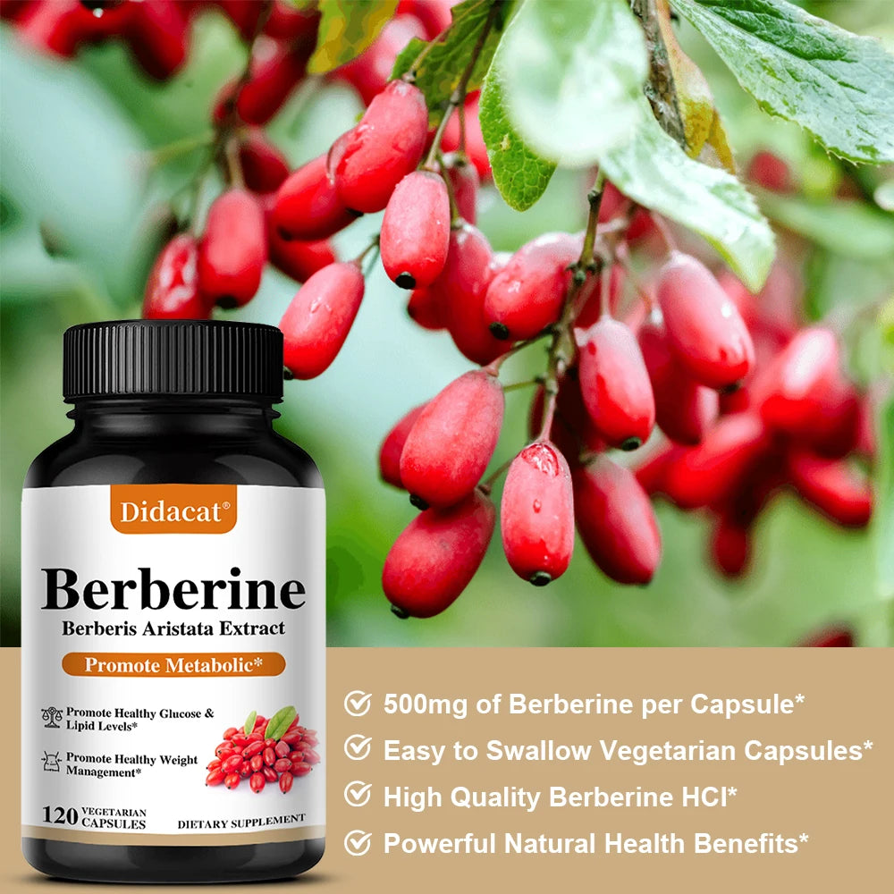 500mg Berberine Dietary Supplement for Metabolism & Weight Management