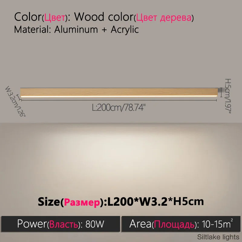 Modern LED Ceiling Lamp for Living Spaces | Stylish Indoor Lighting