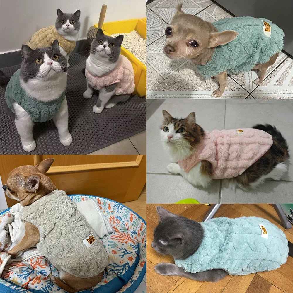 Chaleco Suéter de Lana Cálido para Mascotas Pequeñas | Ropa Acogedora
