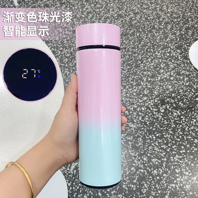 500ML Smart Insulated Water Bottle with Temperature Display