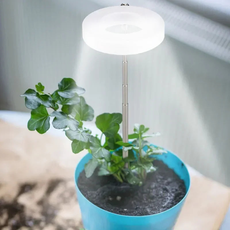 Full Spectrum LED Grow Light for Indoor Plants with Timer