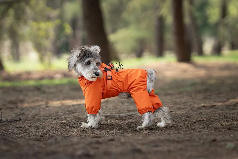 Adjustable Reflective Dog Raincoat with Harness for Small Dogs